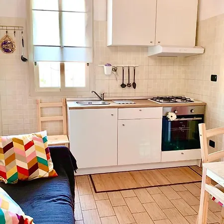 Viola * アニョーネ・バーニ