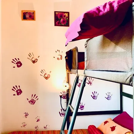 Hébergement de vacances Viola *