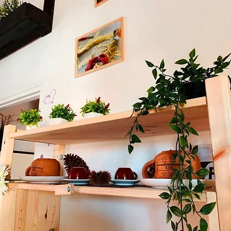 Casa vacanze Viola *