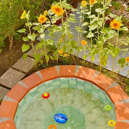Viola Casa vacanze