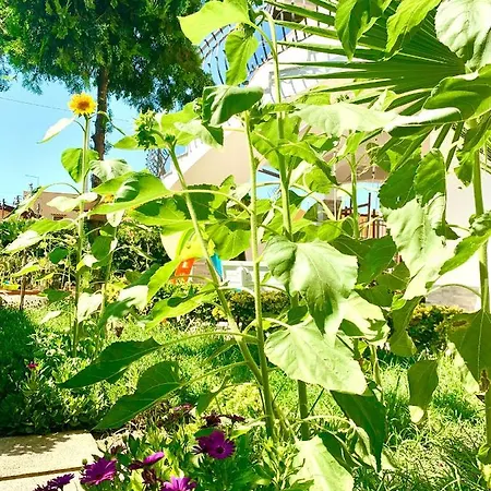 Viola Hébergement de vacances *