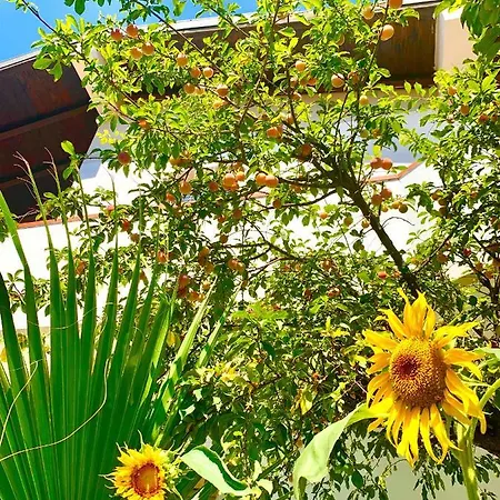 Casa vacanze Viola Agnone Bagni